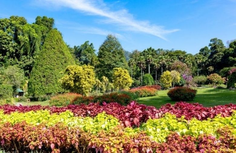The Royal Botanic Gardens