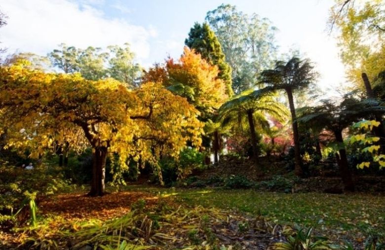 Visit To The Fairytale-Like Alfred Nicholas Gardens
