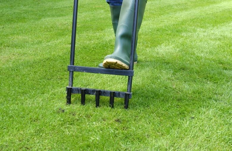 Aeration of lawn