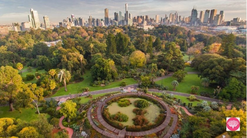 Royal Botanic Gardens Victoria тАУ Melbourne Gardens