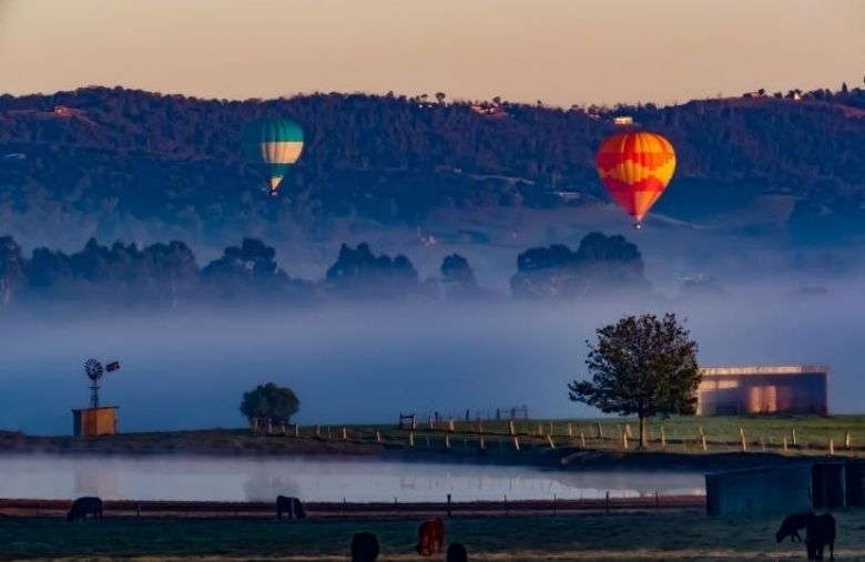 Take A Day Trip at Yarra Valley