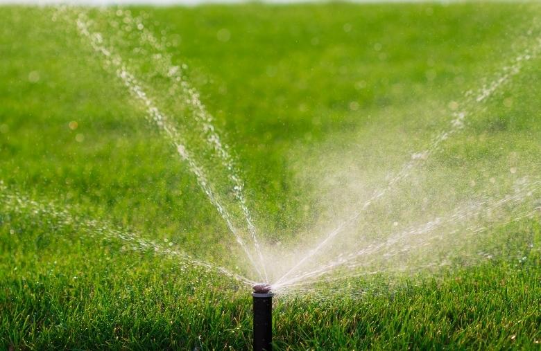 Watering Of Lawn