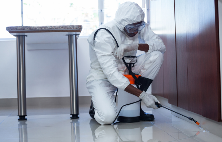 Cost of Pest Control Services