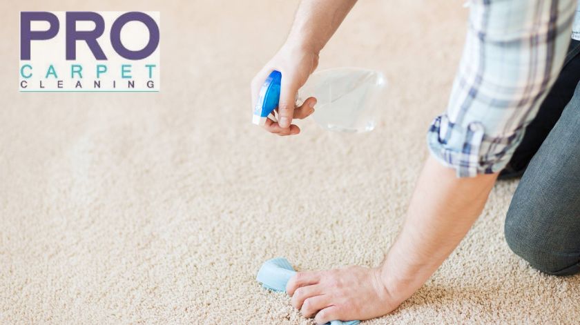 Pro Carpet Cleaning Sydney