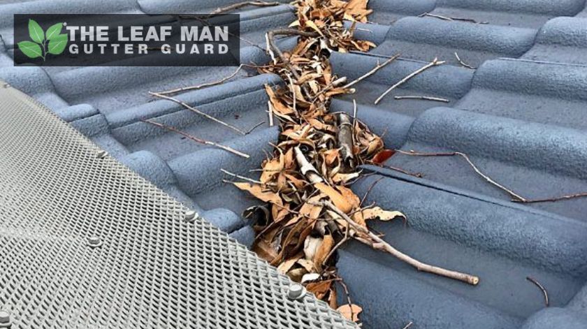 The Leaf Man Australia Pty Ltd