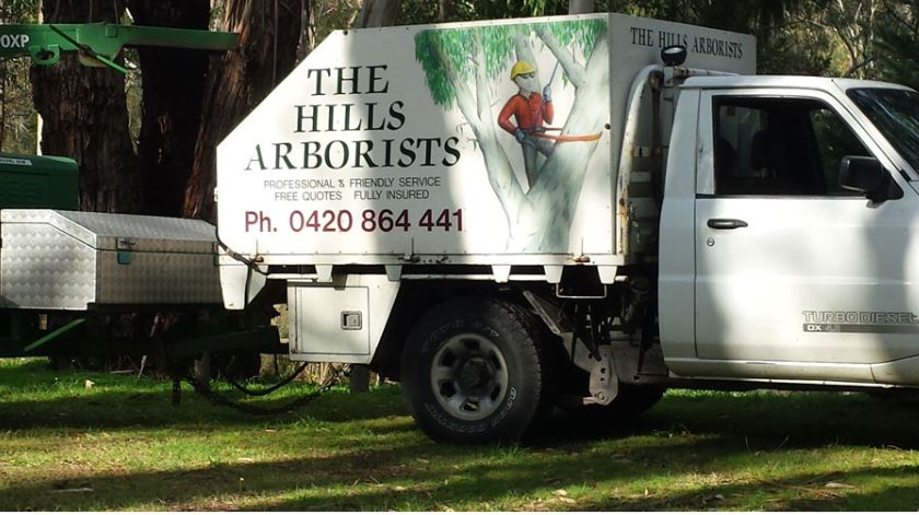 The Hills Arborists