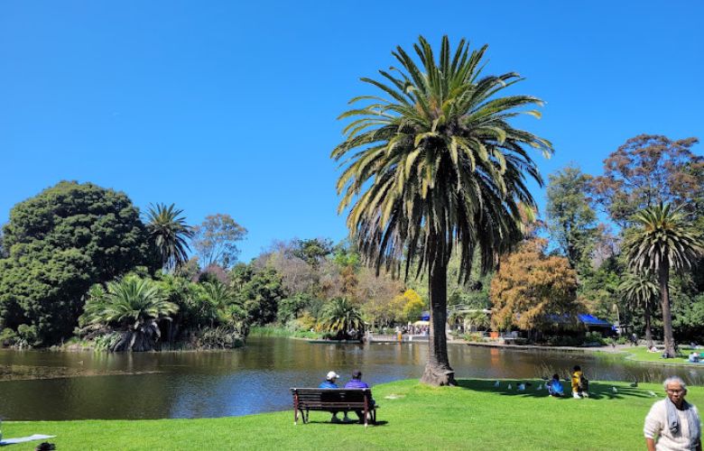 Experience The Beauty of Melbourne Botanic Gardens