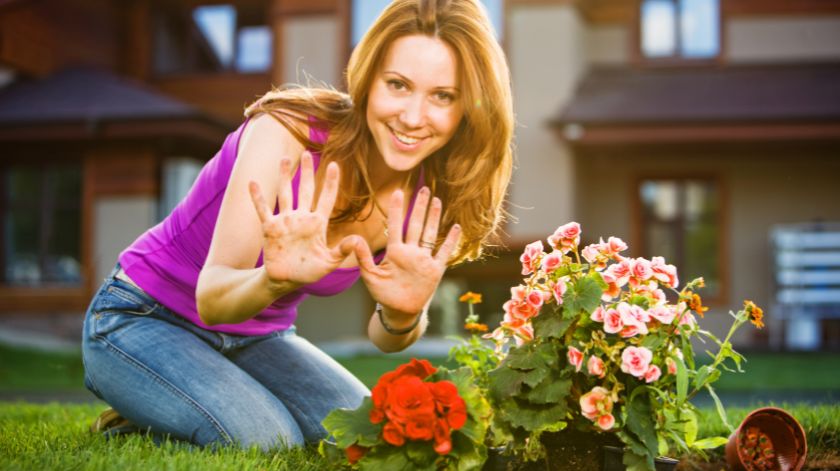Use Plants and Flowers for Natural Beauty and Fresh Air