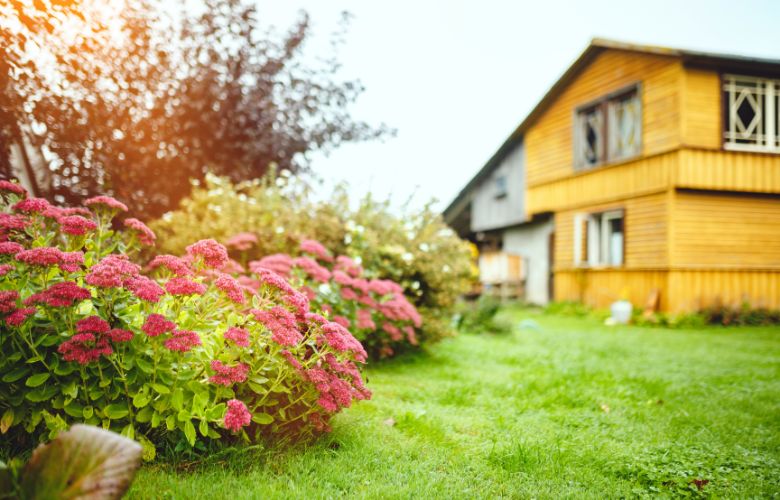 Analyze Your Garden Space
